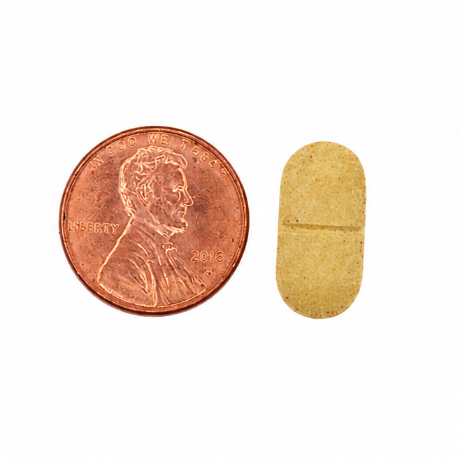King's 65 Tablet size reference to penny