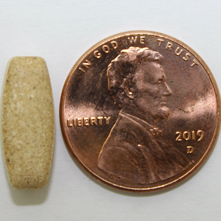 Tablet size comparison